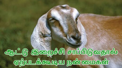 ஆட்டு இறைச்சி நன்மைகள்