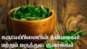 Read more about the article கருவேப்பிலையின் மருத்துவ பண்புகள் மற்றும் நன்மைகள்